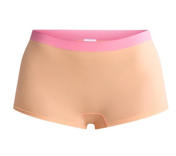 XL 3 Pack Seamless Boyshort Panties Size 16/18 Celebrate Summer Butterflies Cute
