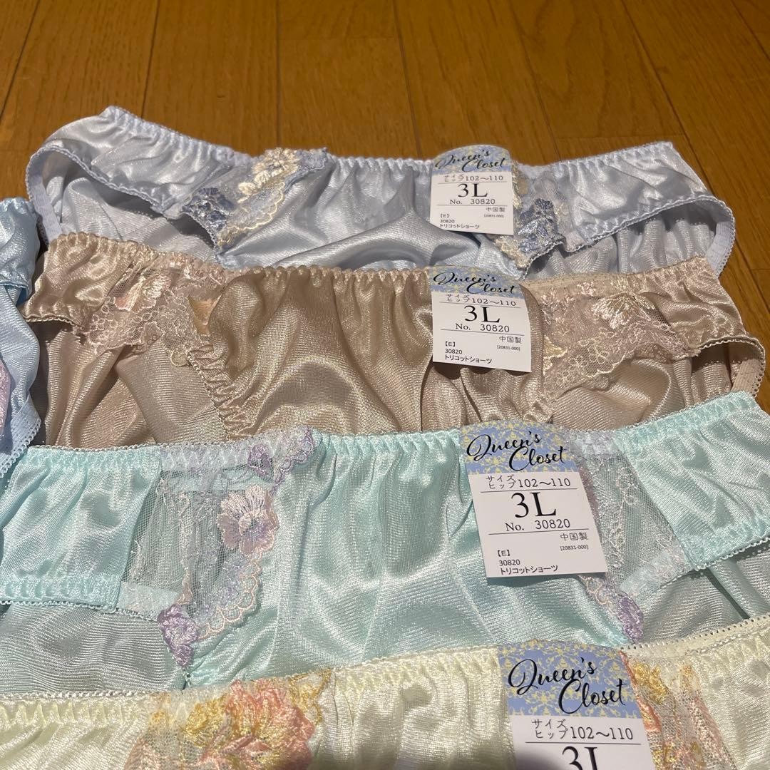 Japanese Glossy Nylon Panties Floral Lace Brief Set of 10 US size L-XL JP 3L