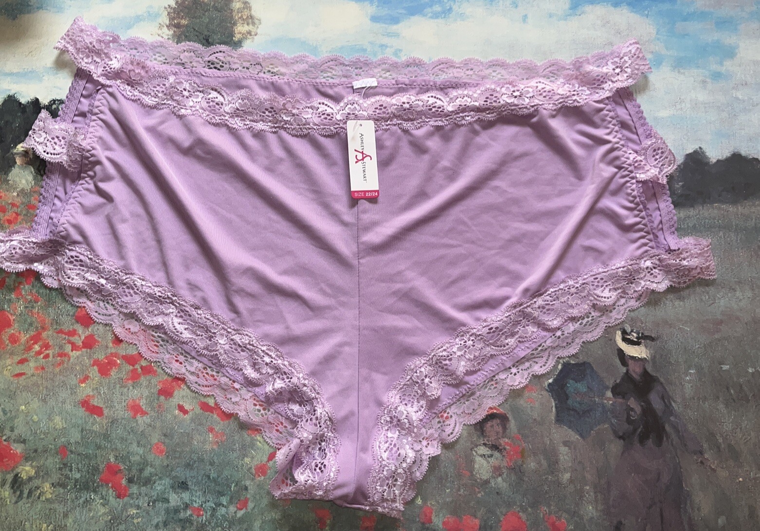ashley stewart 22/24 Panties Purple