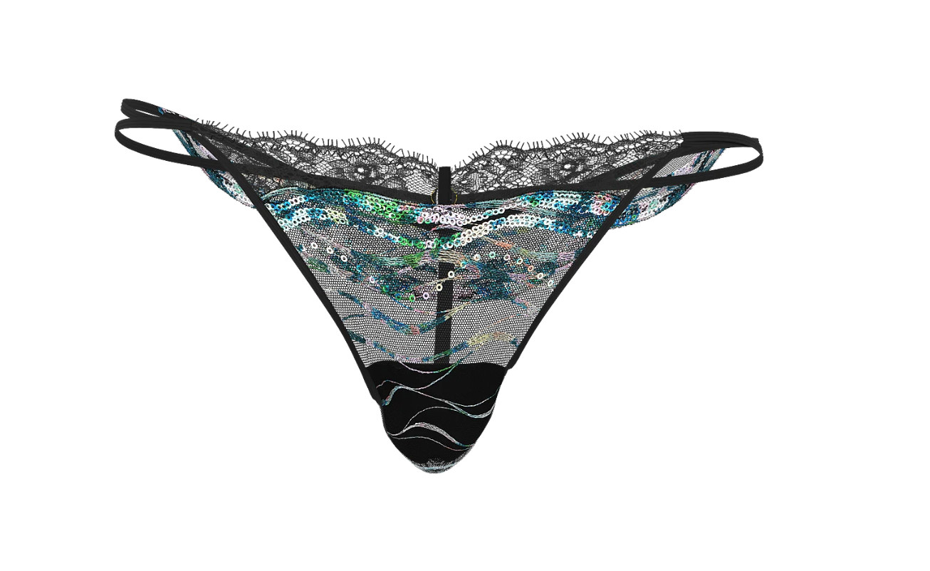 victoria secret Siren Shimmer Embroidery High-Leg V-String Panty
