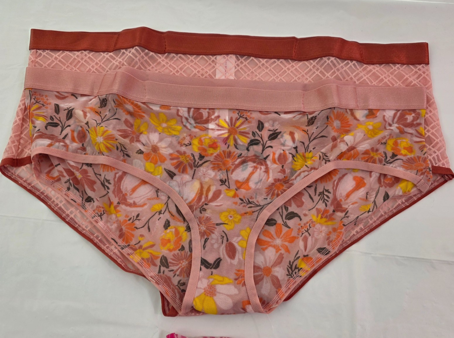 No Boundaries Banded Sheer Mesh 3-Pack Hipster Panties – Sizes Various NWT